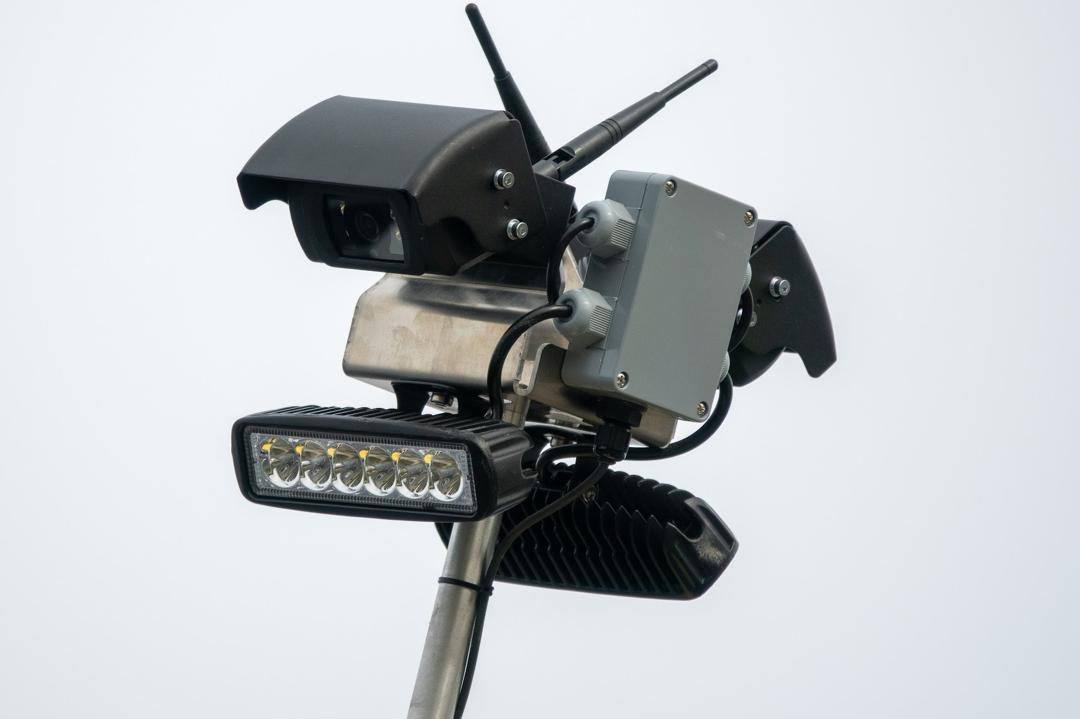 On-board camera and lighting module